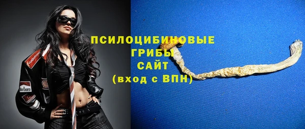 герыч Алексин
