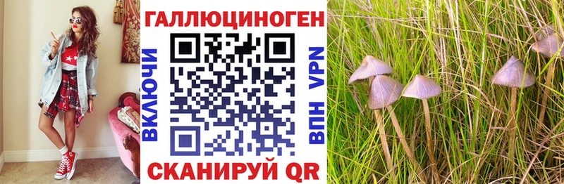 Галлюциногенные грибы GOLDEN TEACHER  Дивногорск 