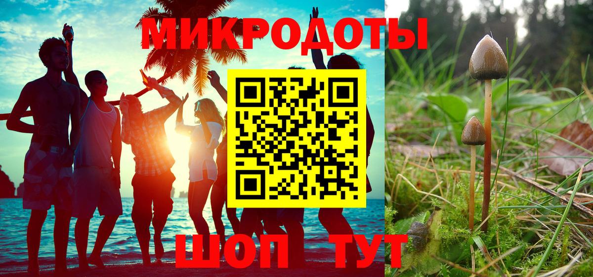Псилоцибиновые грибы ЛСД Дивногорск